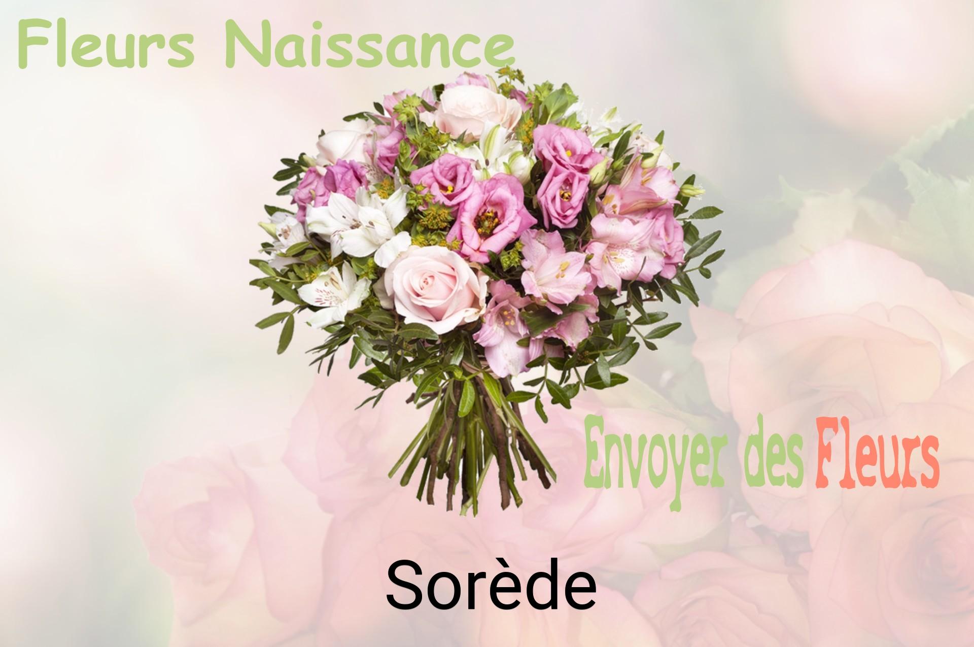 Bouquet de fleurs de naissance livré à Sorède